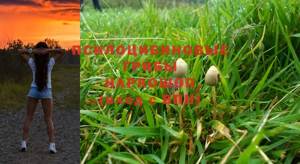 прущая мука Богородицк